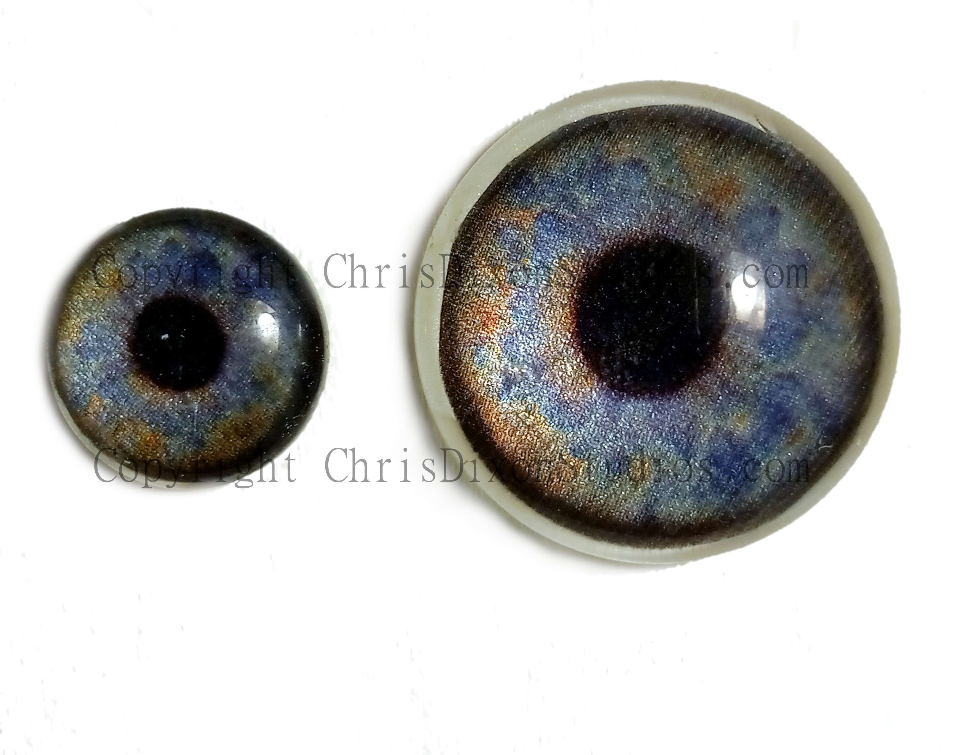 HumanEyeH