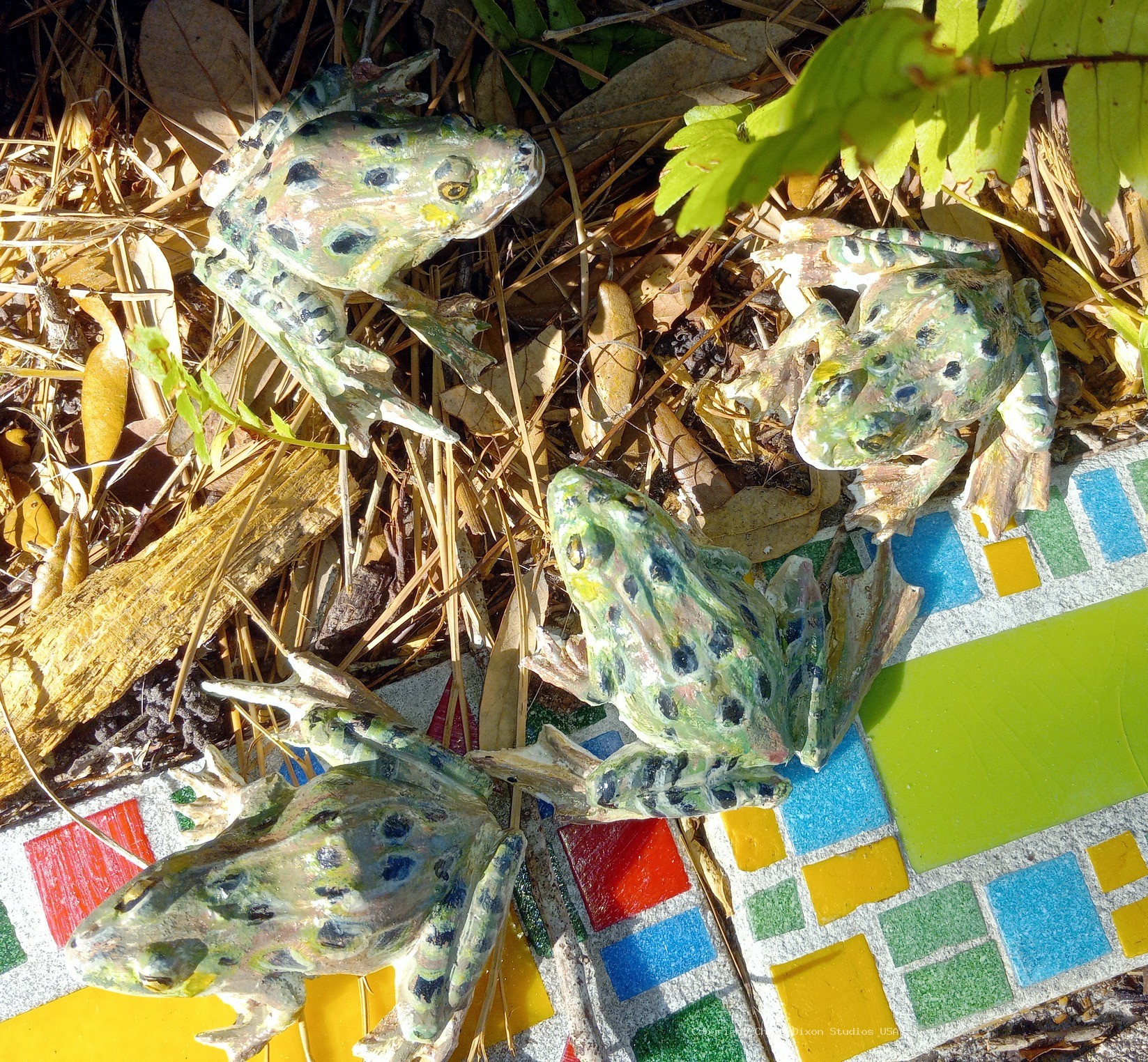 Leopard Frog 3in 606