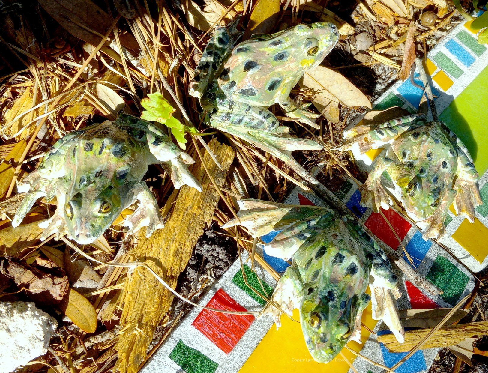 Leopard Frog 3in 759