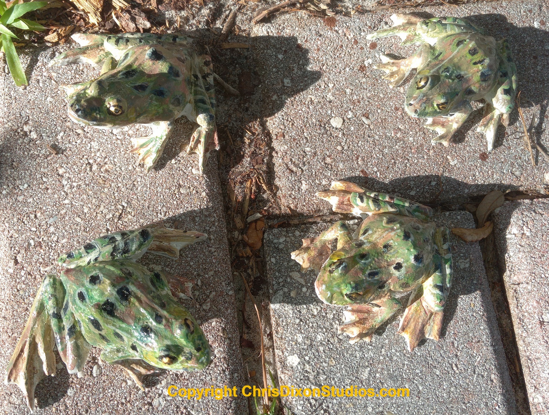 Leopard Frog 3in 823