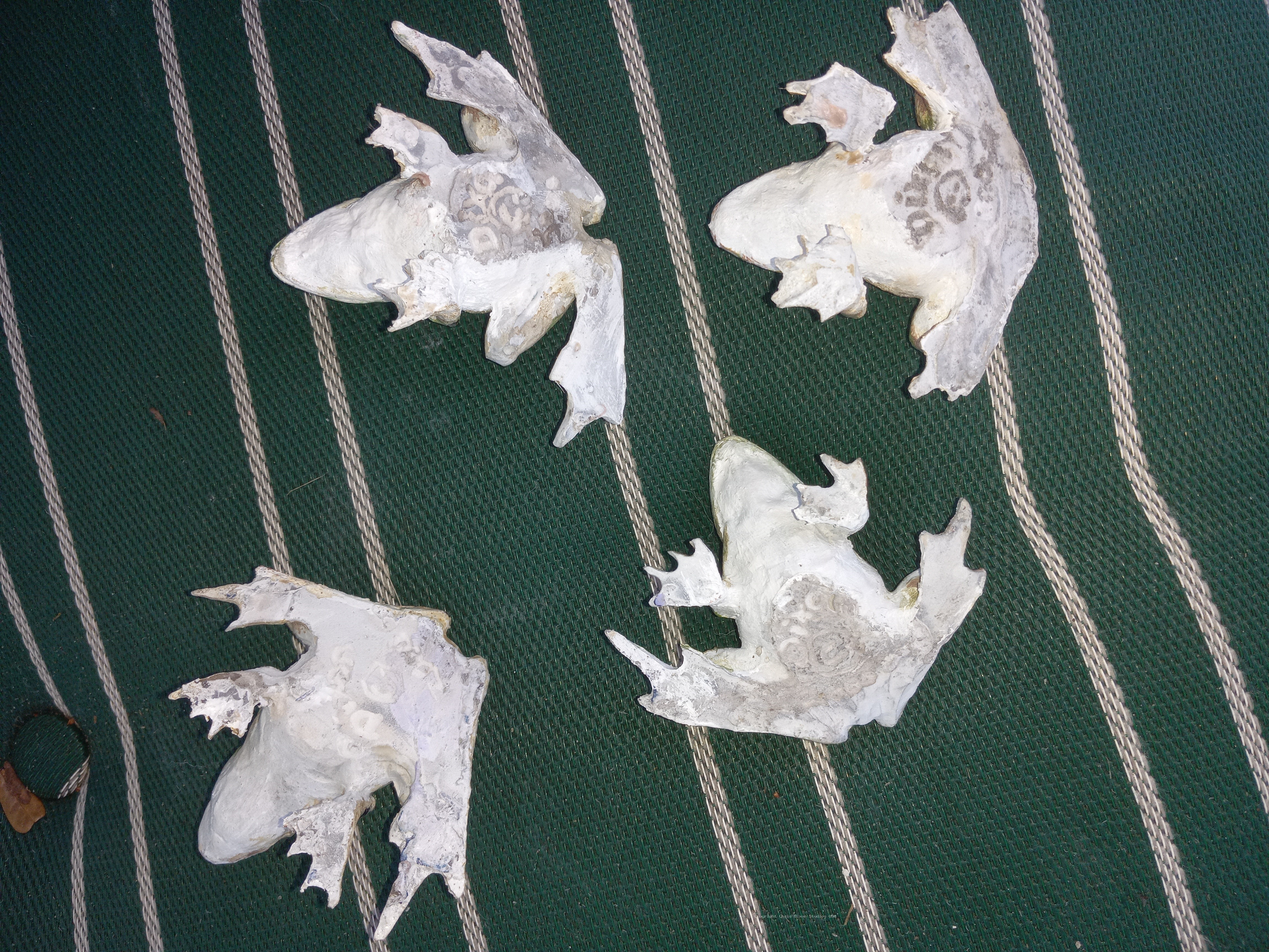 Leopard Frog 3in 903