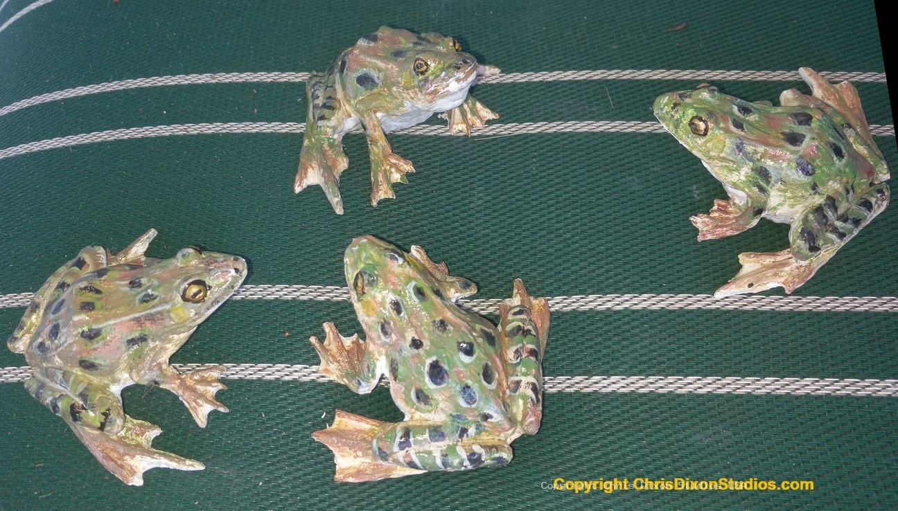 Leopard Frog 3in 939