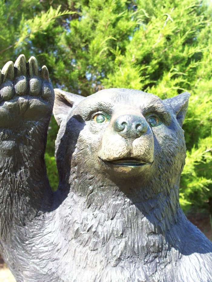 7 2a Bear Standing Head