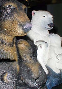 7 1b Black Bearhead200288