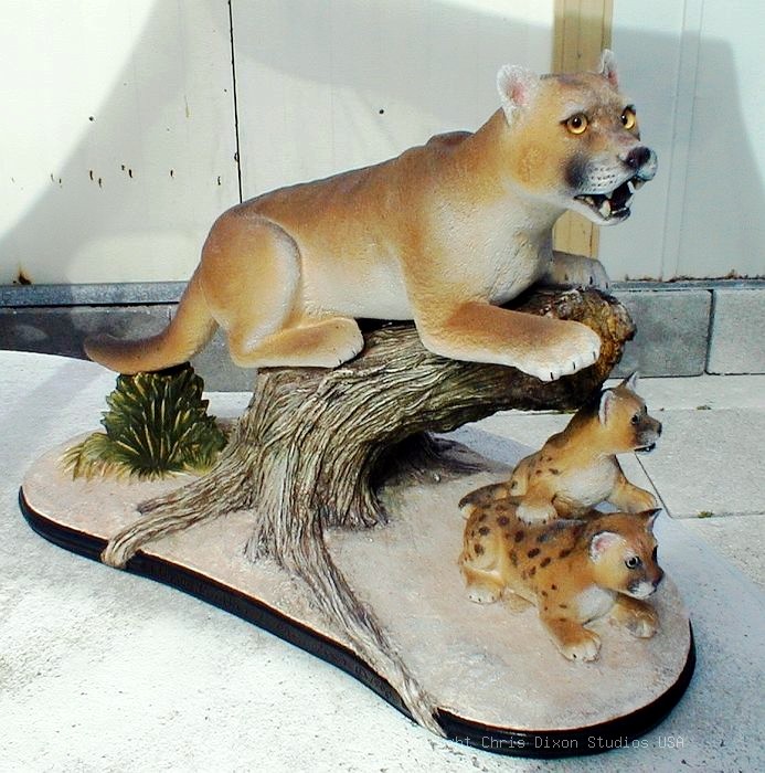 5 1 Florida Panther Cat