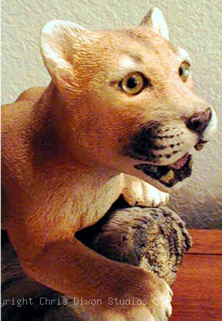 5 1 Pantherhead311450dixon