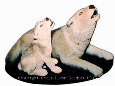 6 1a Howling Timber Wolves