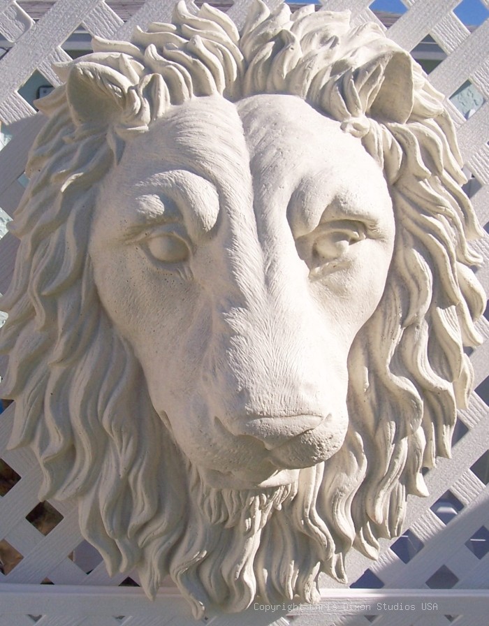 21 Lion Head White