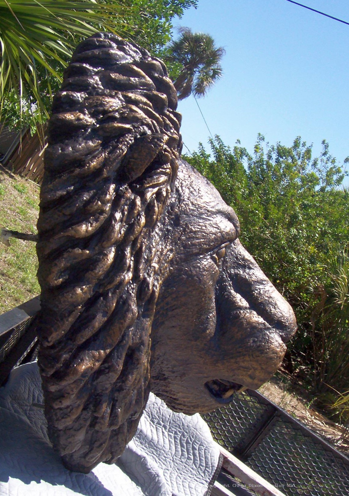 Lion Head 3ft Bronzed74