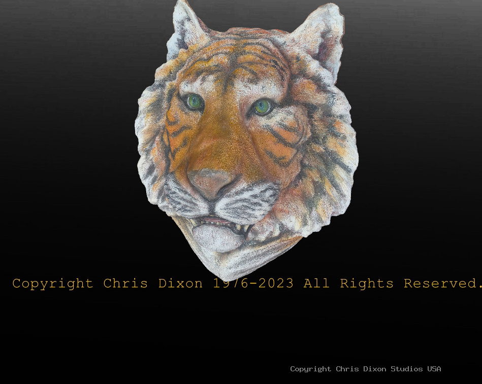 Tiger Head 3D