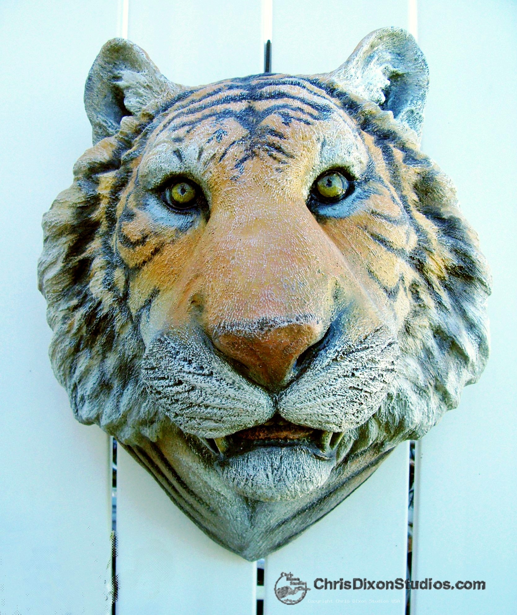 Tiger Head 21x17x14