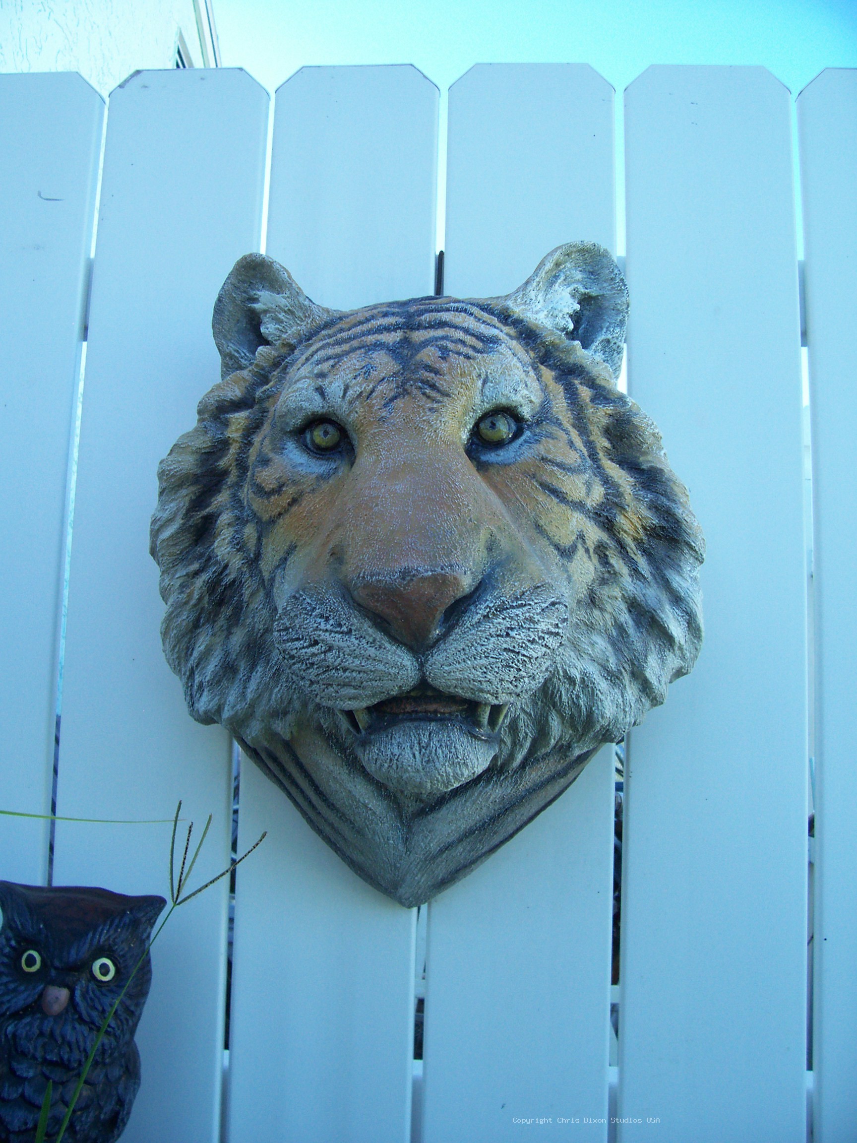 Tiger Head 21x17x1490