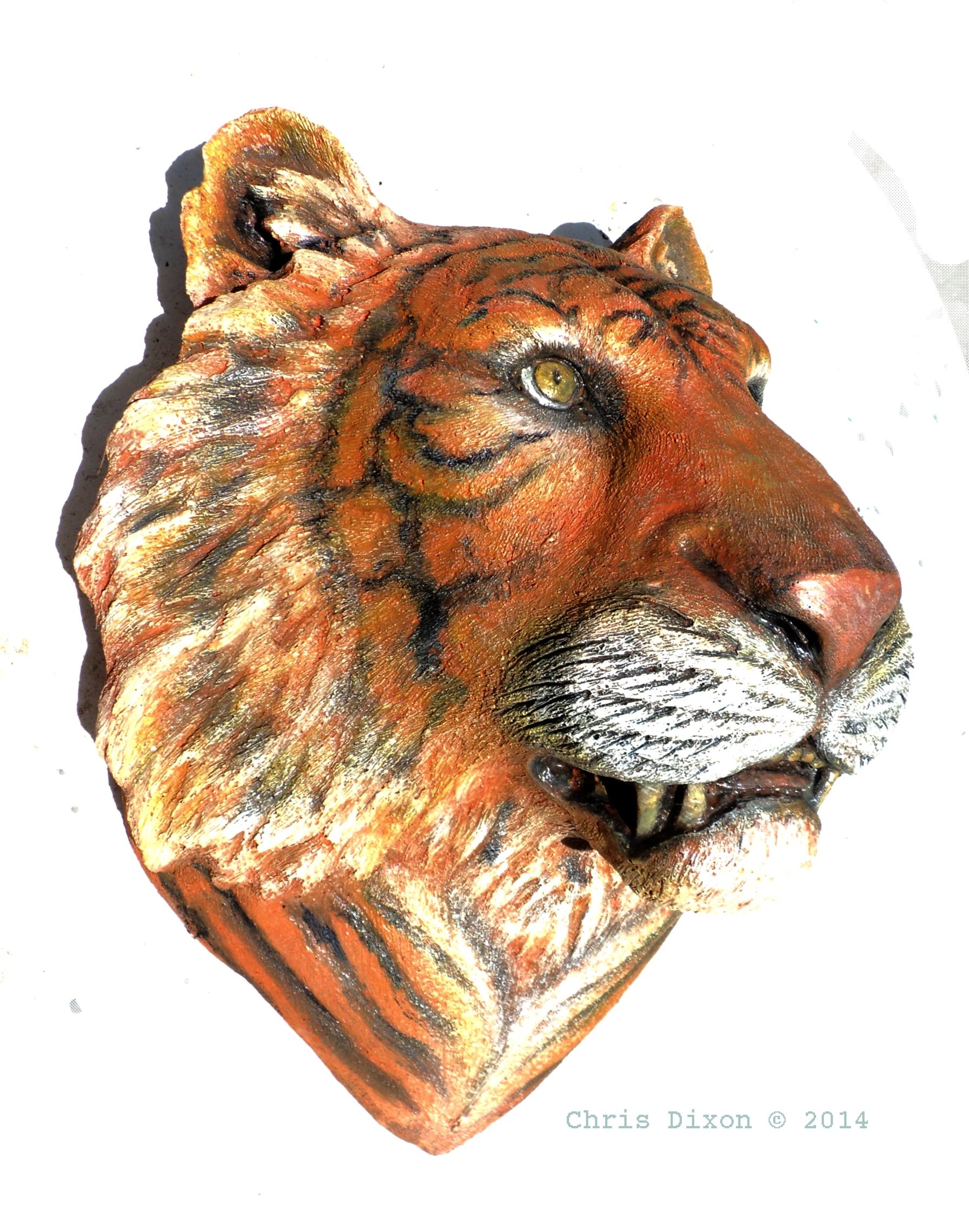 Tiger Head Golden21x17x14 06