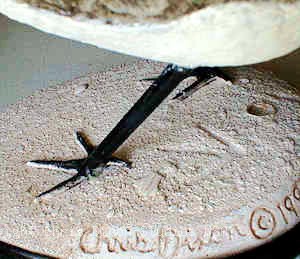 12 1 Sanderlingfeet300259