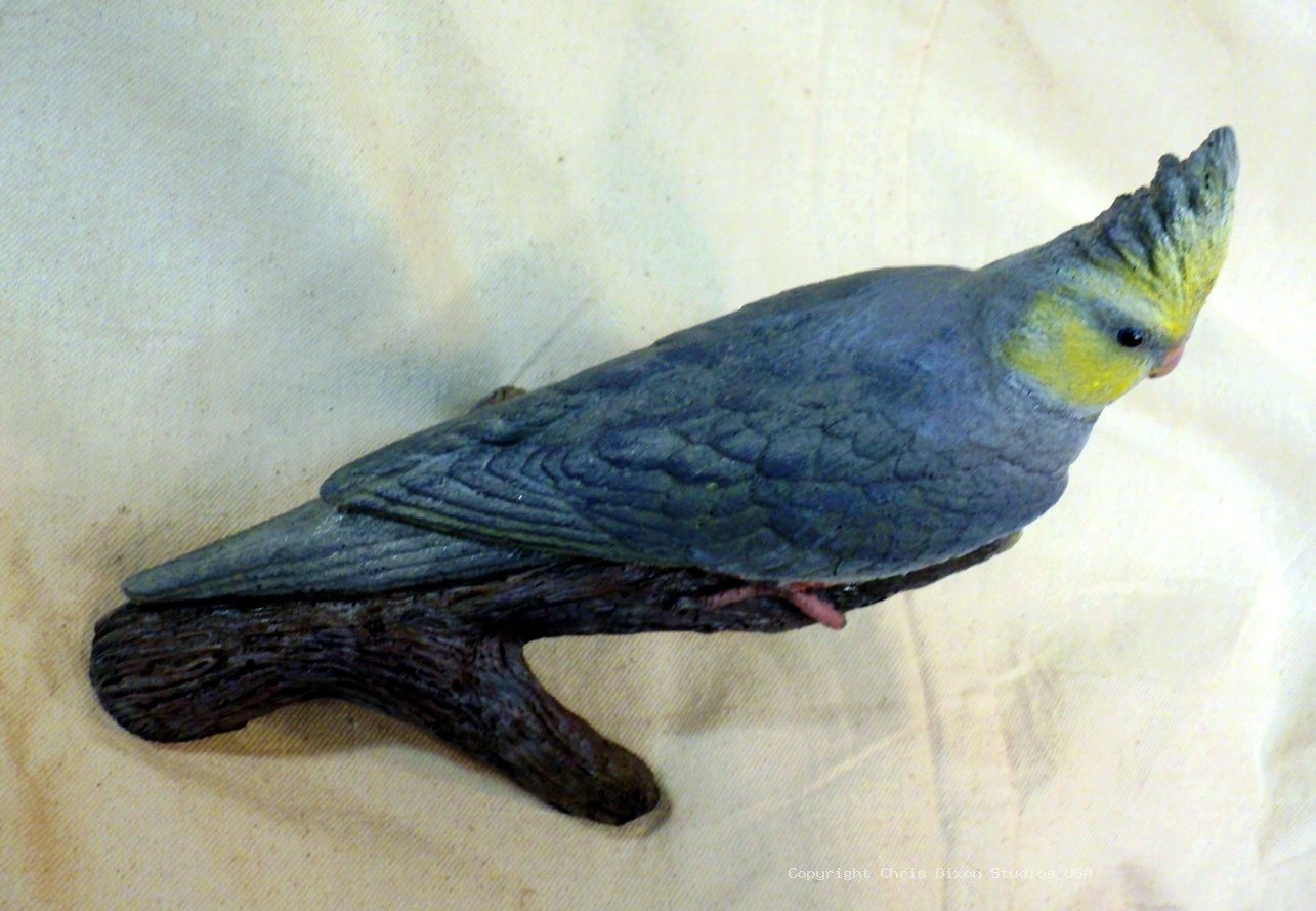 13 1 Cockatiel Lombardi 687