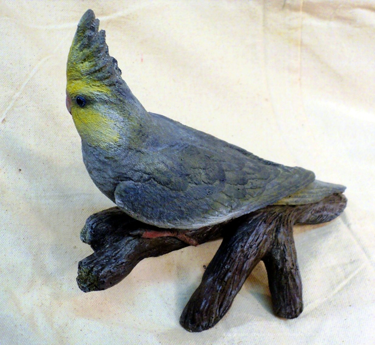 13 1 Cockatiel Lombardi 688