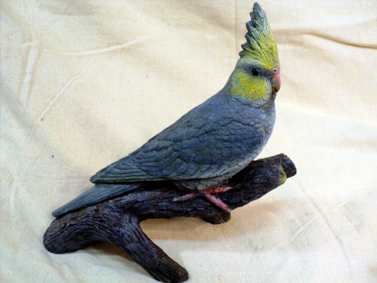 13 1 Cockatiel Lombardi 690