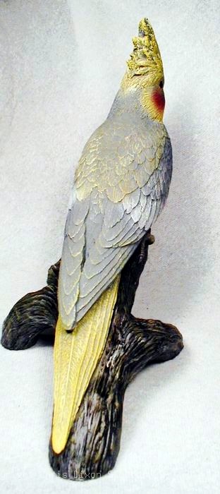 13 1 Cockatiel Back