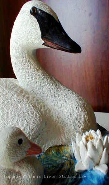 18 1 Swansheads350595