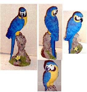 Macaw Parrot Bird 16