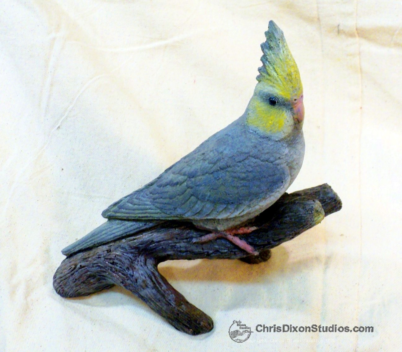 13 1 Cockatiel Lombardi 686