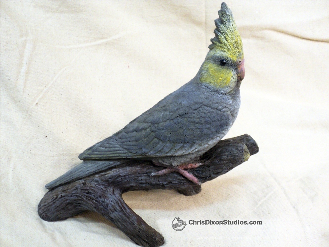 13 1 Cockatiel Lombardi 690