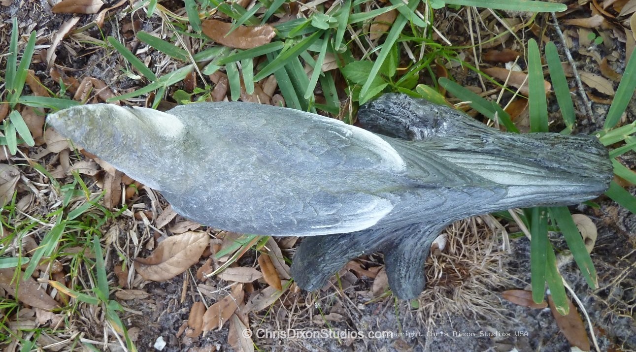 13 1 Cockatiel Pepper 253