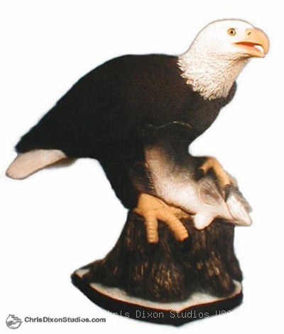 8 1 Bald Eagle