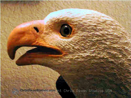 8 1 Eaglehead500375dixon