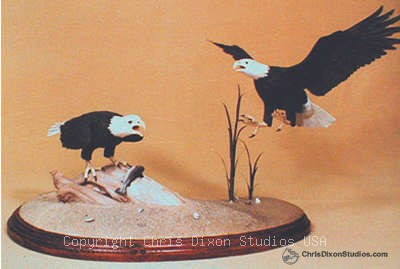 Bald Eagles Trout400269 Jpg