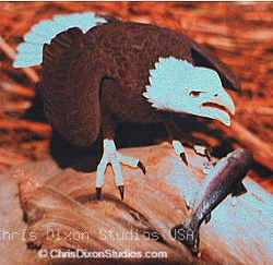 Bald Eagletrout250243 Jpg