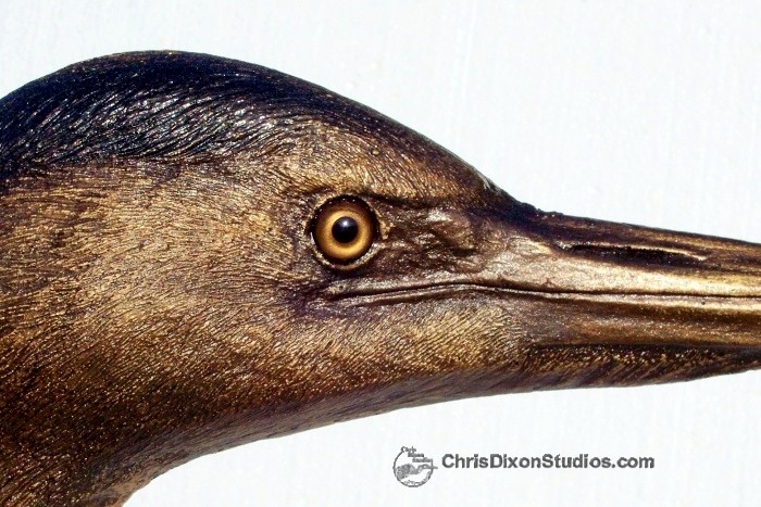 20 1 Heron Bronzed Weye2