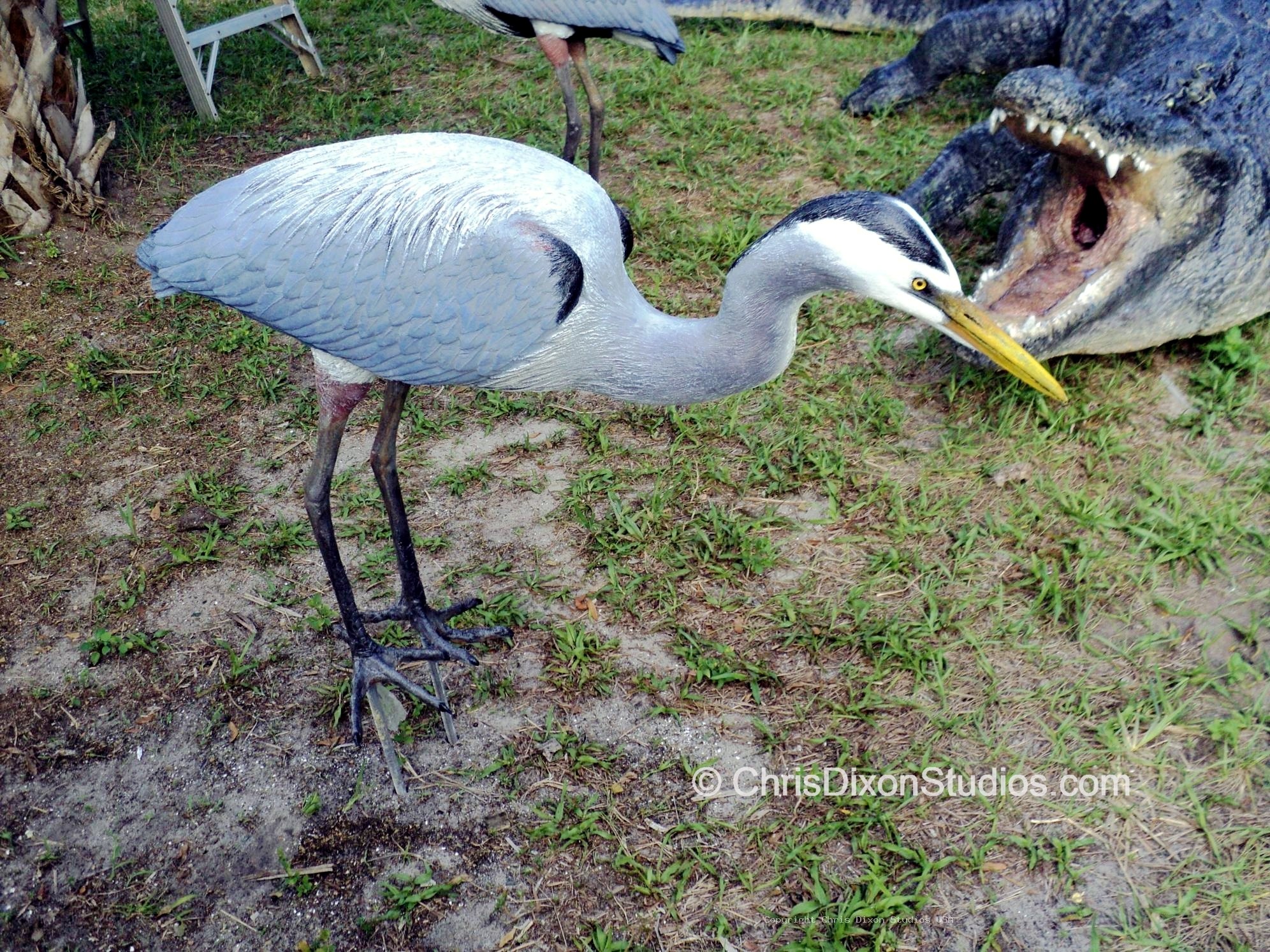 Great Blue Herons Custom 582