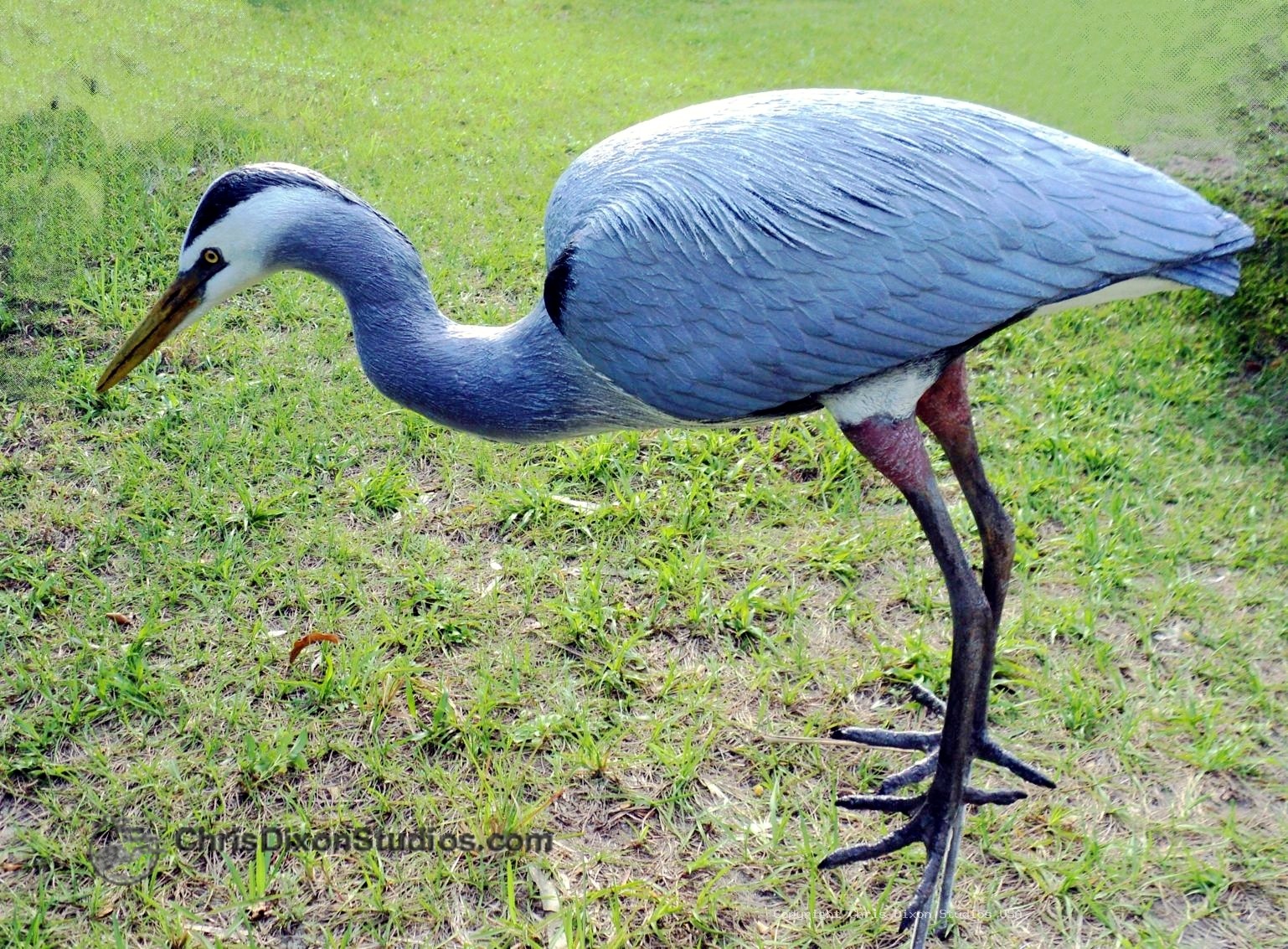 Great Blue Herons Custom 586