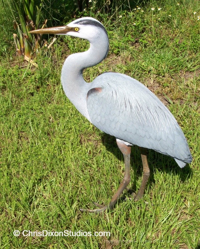 Heron 0857