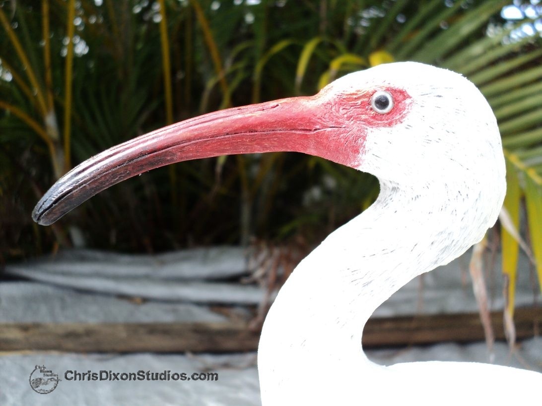 Ibis White Bird 12 911