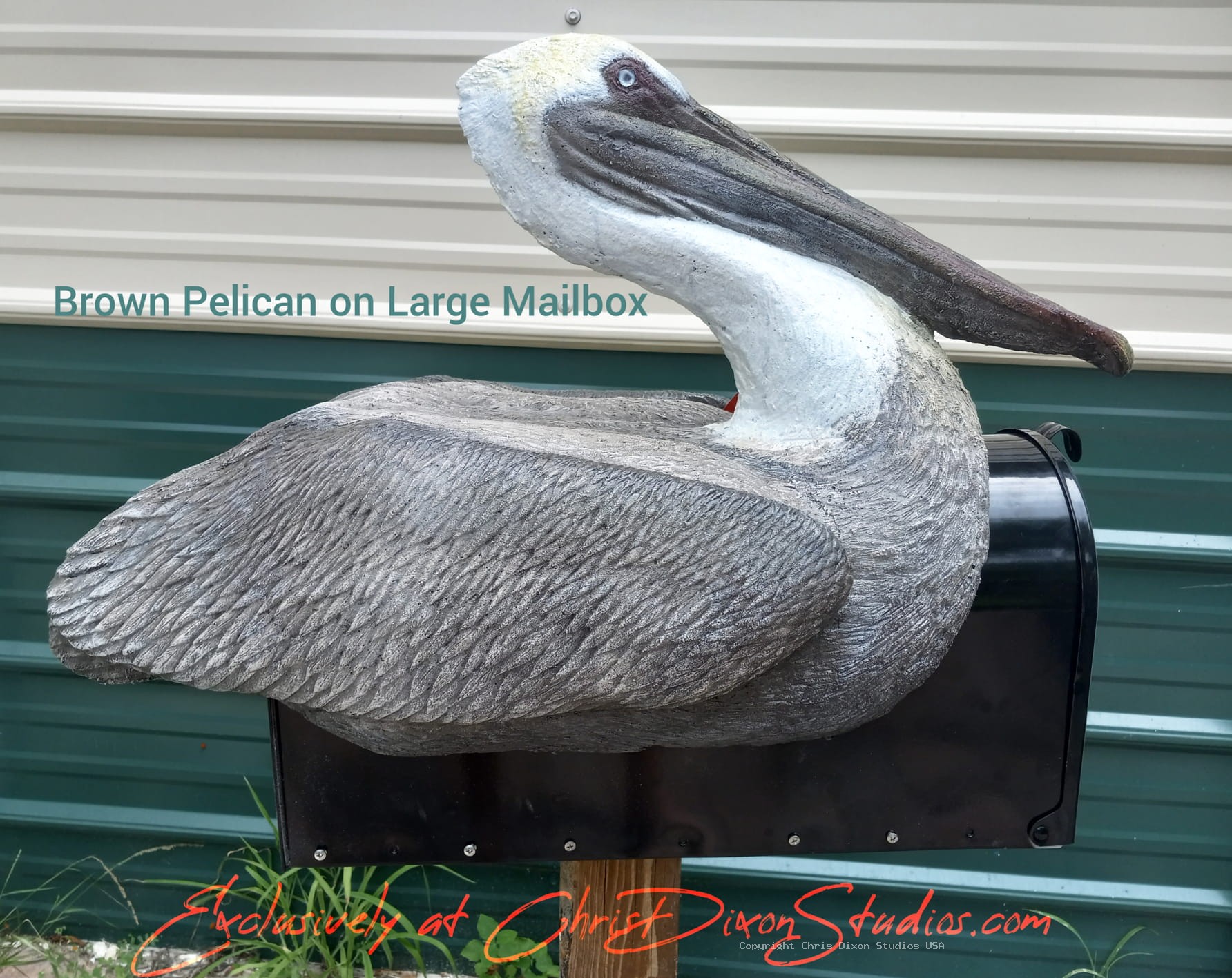 Brown Pelican Mailbox928