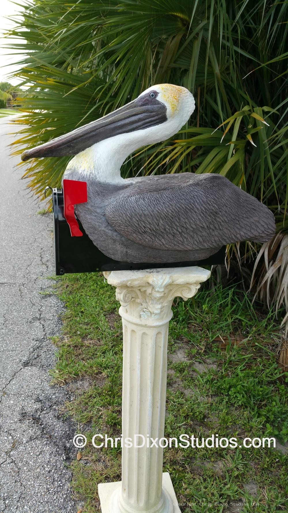 Pelican On Mailbox 459