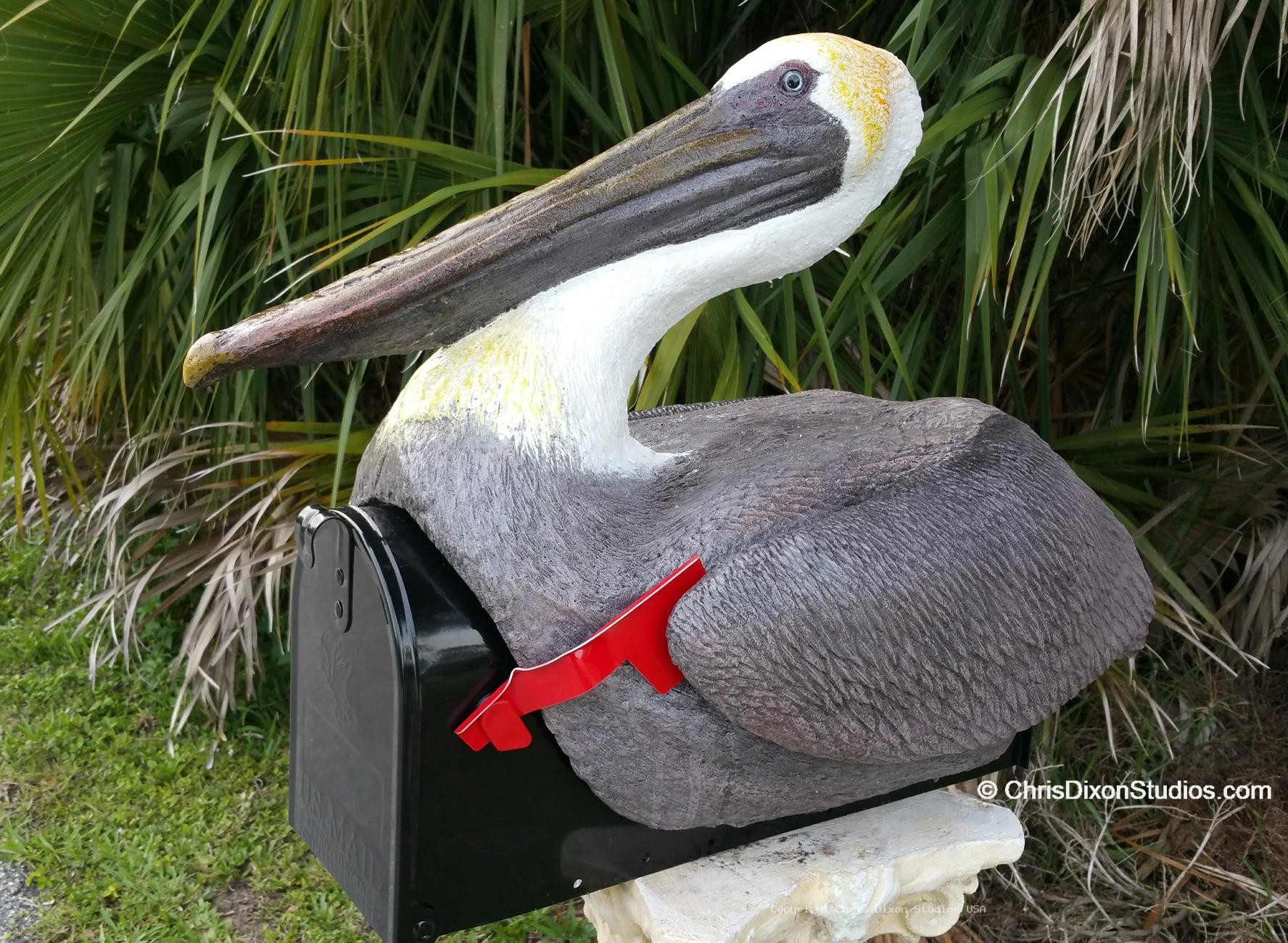 Pelican On Mailbox 632