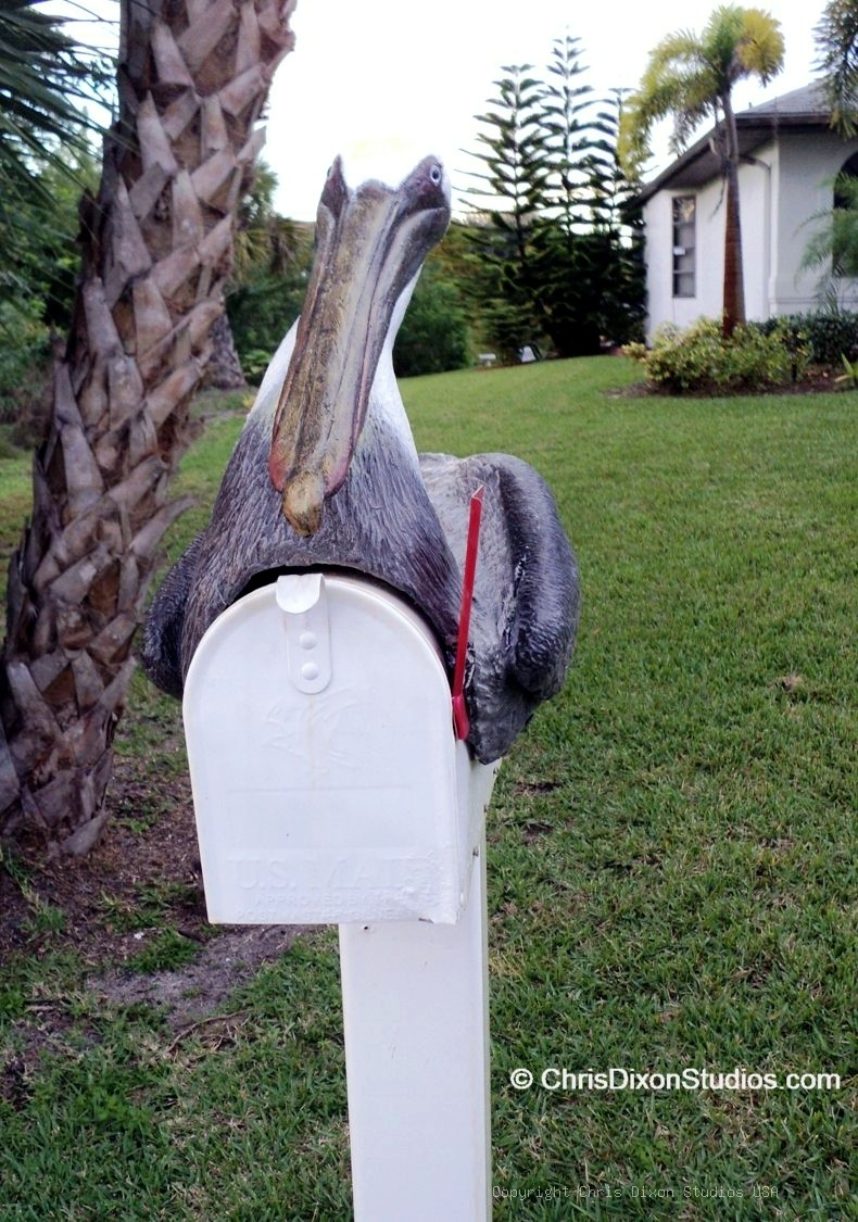 Pelican On Mailbox 81