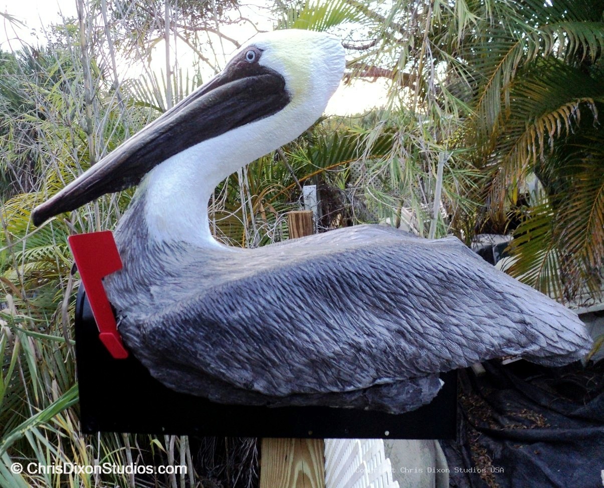 Pelican On Mailbox 91