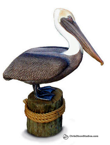Lifesize Brown Pelican Statue 