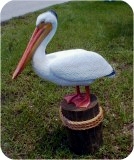 1 3b Lifesize White Pelican Jpg04