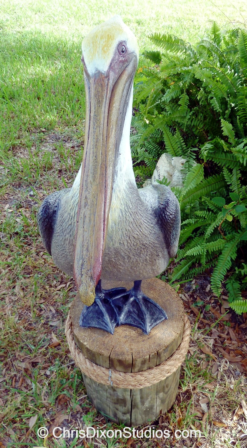 Pelican Standing Proud - View 3