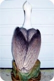 Pelican Lifesize BACK