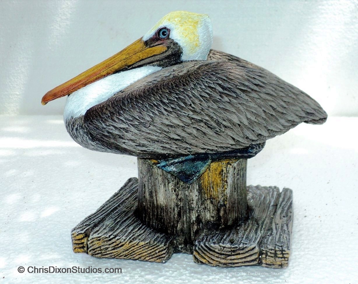 1 1a Brown Pelican96