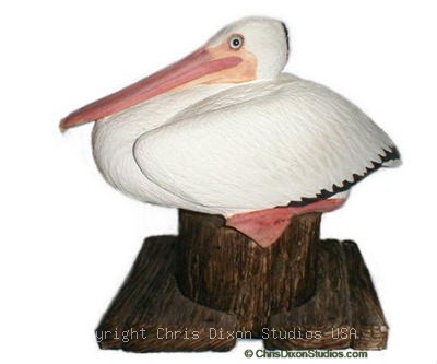 1 1b White Pelican