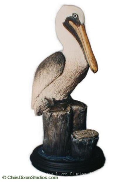 1 2a Small Pelican