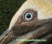 1 3a Lszb Pelican Rdetail280