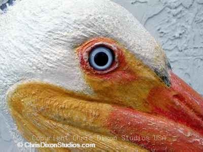 1 3b Lszwpelicaneyedetail400300